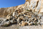 Grupo Mineralógico de Alicante.Cantera de áridos El Cabra. San Vicente del Raspeig. Alicante