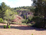 Grupo Mineralógico de Alicante.  Barranco de la  Terzaga. Camporrobles. Valencia 
