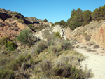   Vía Verde.  Agost. Alicante