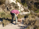   Vía Verde.  Agost. Alicante