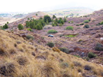 Mina Rómulo. Collado La Mina, Llano del Beal, Cartagena, Murcia 