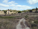 Finca el Sabinar.San Vicente del Raspeig