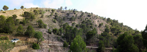 Finca el Sabinar.San Vicente del Raspeig