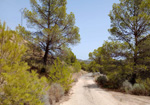 Triásico de Finestrat. Alicante