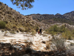 Rambla Carcelin. Ojos. Valle de Ricote. Murcia