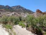   Rambla Carcelin. Ojos. Valle de Ricote. Murcia