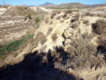   Barranco del Mulo. Ulea. Murcia