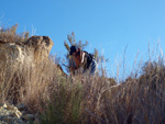   Barranco del Mulo. Ulea. Murcia