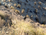   Barranco del Mulo. Ulea. Murcia