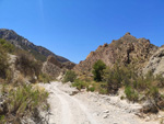  Rambla Carcelin. Ojos. Valle de Ricote. Murcia