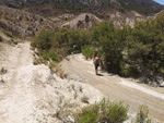  Rambla Carcelin. Ojos. Valle de Ricote. Murcia