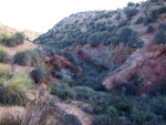 Rambla del Albardinar. La Almudema. Caravaca de la Cruz. Murcia