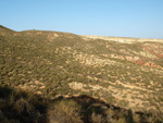  Rambla del Albardinar. La Almudema. Caravaca de la Cruz. Murcia