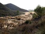  Rambla del Albardinar. La Almudema. Caravaca de la Cruz. Murcia