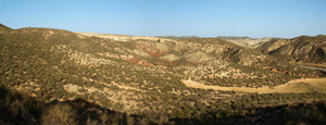 Rambla del Albardinar. La Almudema. Caravaca de la Cruz. Murcia