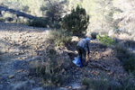  Paraje de la Jabalina. Cehegín. Murcia