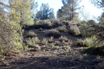  Paraje de la Jabalina. Cehegín. Murcia