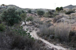 Cantera Casablanca. Lloma Alta, Les Boqueres, San Vicente del Raspeig, Alicante