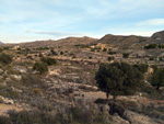 Cantera Casablanca. Lloma Alta, Les Boqueres, San Vicente del Raspeig, Alicante