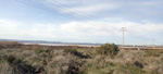 Salinas de Torrevieja. Alicante