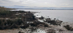  Salinas de Torrevieja. Alicante