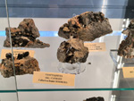 Expo Mineraux. Collections privées de cristalliers