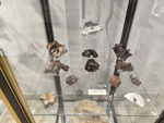 Expo Mineraux. Collections privées de cristalliers