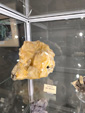  Expo Mineraux. Collections privées de cristalliers