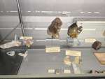  Expo Mineraux. Collections privées de cristalliers