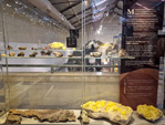 GMA. Museo Nacional de Ciencias Naturales