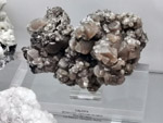 Grupo Mineralógico de Alicante. Museo de Ciencias Naturales de Álava 