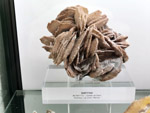 Grupo Mineralógico de Alicante. Museo de Ciencias Naturales de Álava 