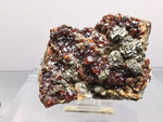 Grupo Mineralógico de Alicante. Museo de Ciencias Naturales de Álava 