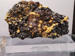 Grupo Mineralógico de Alicante.Museo de Ciencias Naturales de Álava 