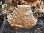 Grupo Mineralógico de Alicante. Museo de Ciencias Naturales de Álava