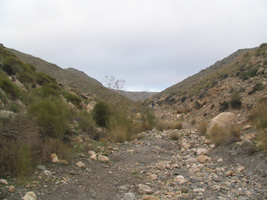 El Hoyazo.Nijar. Almería