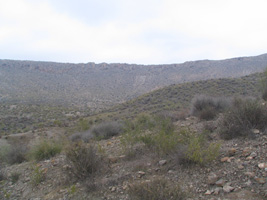 El Hoyazo.Nijar. Almería