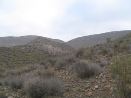 El Hoyazo.Nijar. Almería