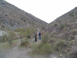 El Hoyazo.Nijar. Almería