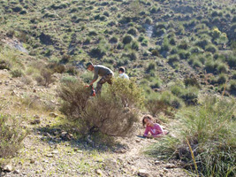 El Hoyazo.Nijar. Almería