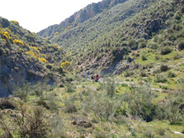 El Hoyazo.Nijar. Almería