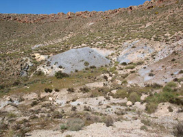 El Hoyazo.Nijar. Almería   