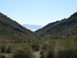 El Hoyazo.Nijar. Almería   