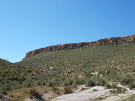 El Hoyazo.Nijar. Almería  