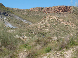 El Hoyazo.Nijar. Almería   