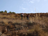 Concesión Beltraneja, Mina Los Cortijuelos, Bacares, Almeria   