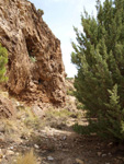 Concesión Beltraneja, Mina Los Cortijuelos, Bacares, Almeria    