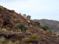 Mina Rica. Pilar de Jaravía. Almería.    