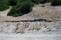 Mina Cáucaso, Minas de Conil, Conil de la Frontera, Comarca La Janda, Cádiz