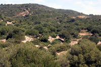 Mina Cáucaso, Minas de Conil, Conil de la Frontera, Comarca La Janda, Cádiz